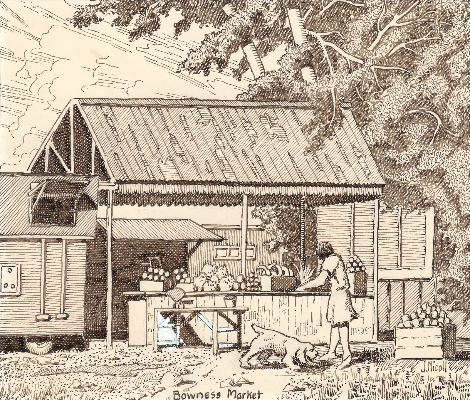 Jim Nicoll, Bowness Market, c. 1950