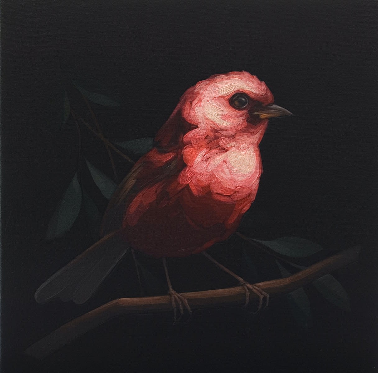 Darrell Underschultz, Pink Headed Warbler NO. 3