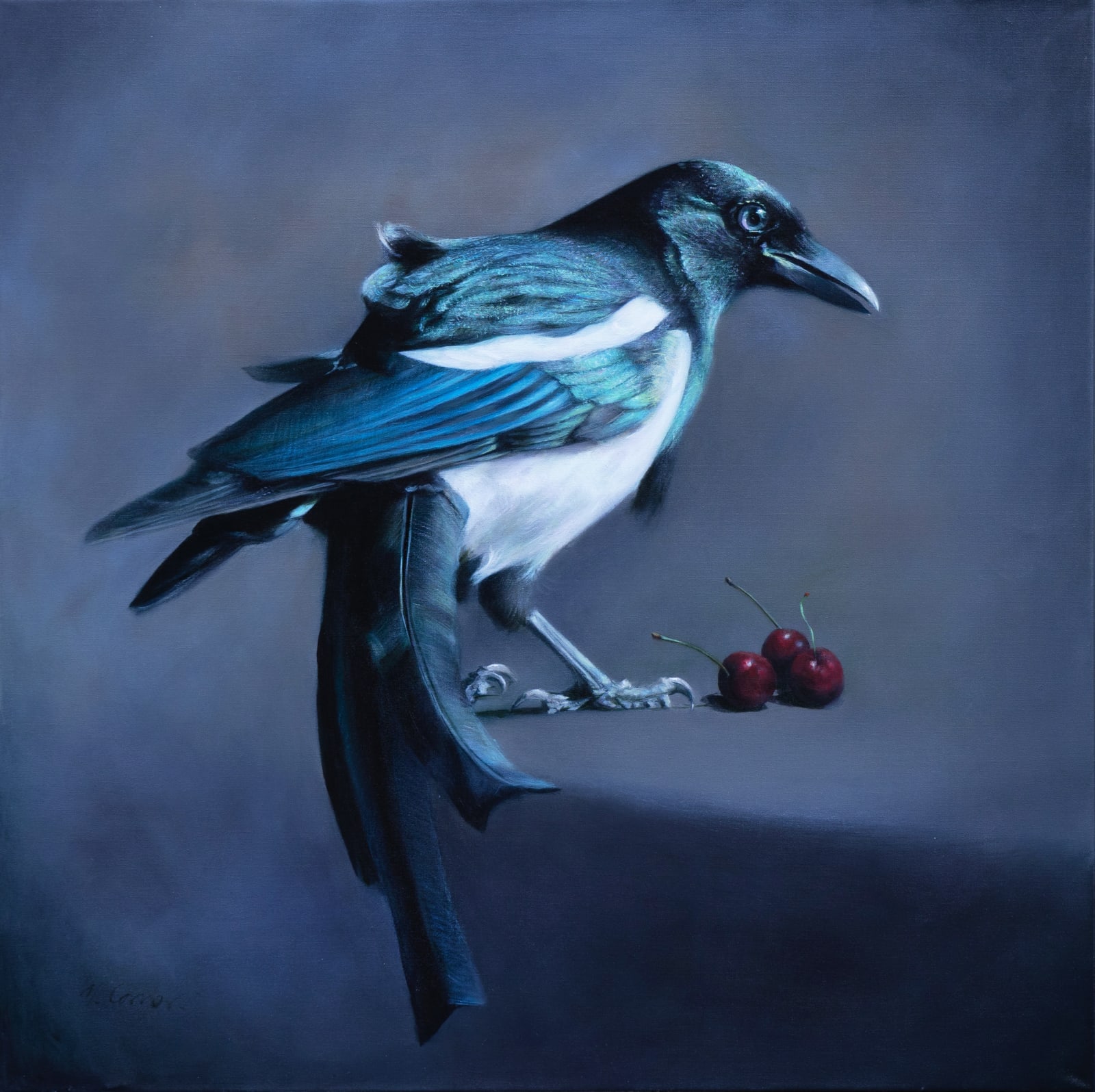 Michael Corner, Magpie with Three Cherries, 2025