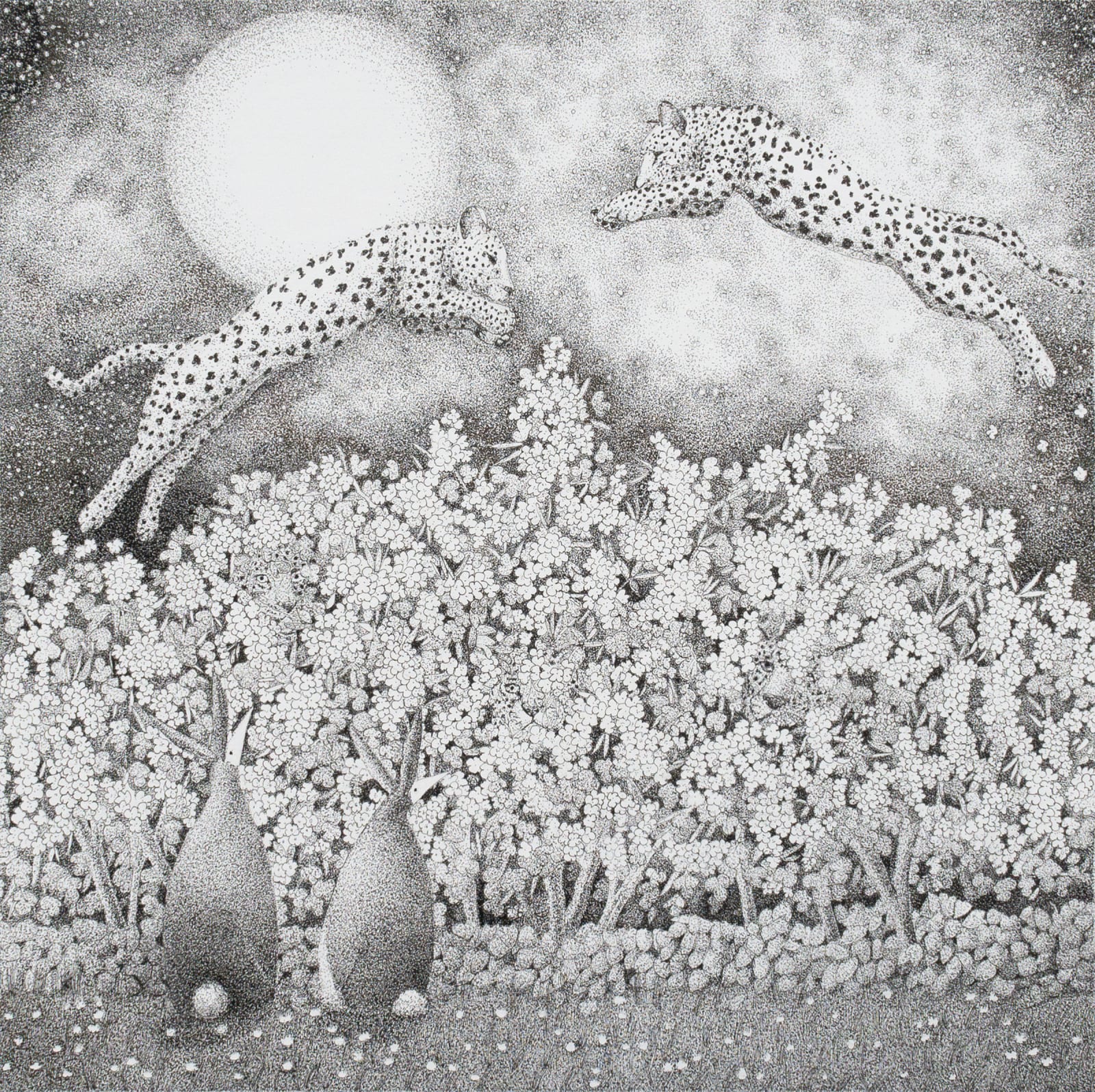 Michael Corner, Because Lions Only Fly At Night Stanley