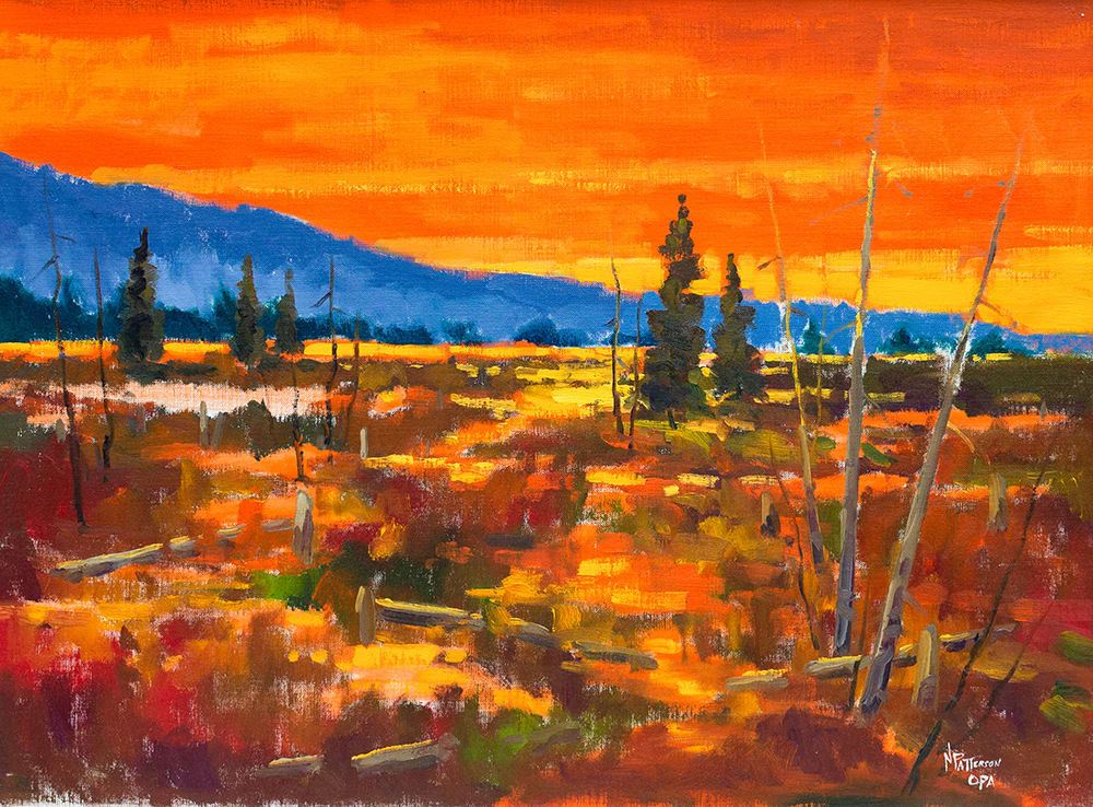 Neil Patterson, Sun Down