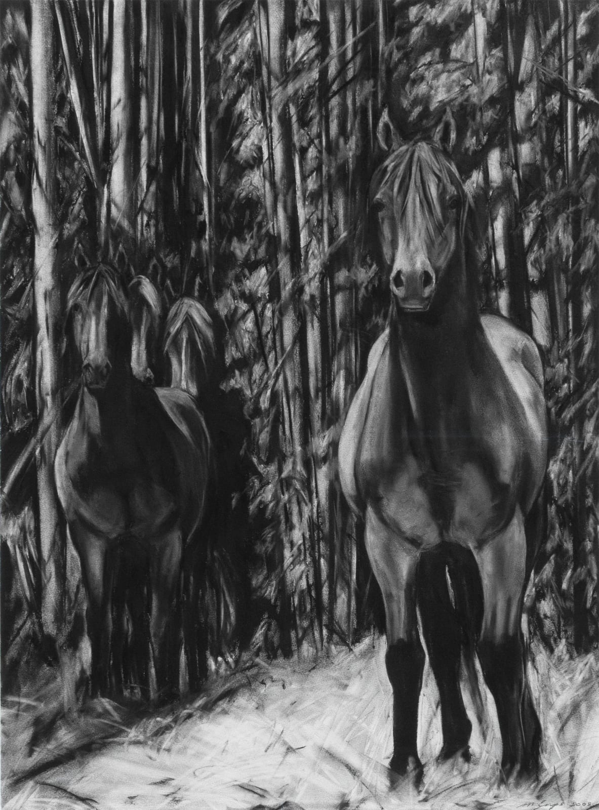 Maureen Enns, Stallions Watching Hope + I, 2008