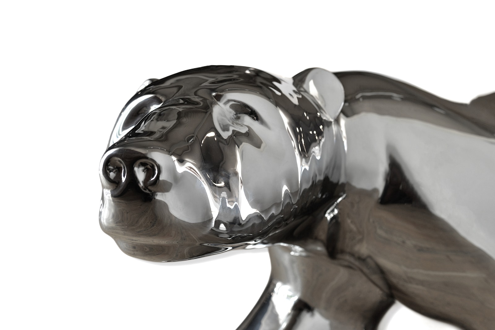 Cathryn Jenkins, Aurora (Small)