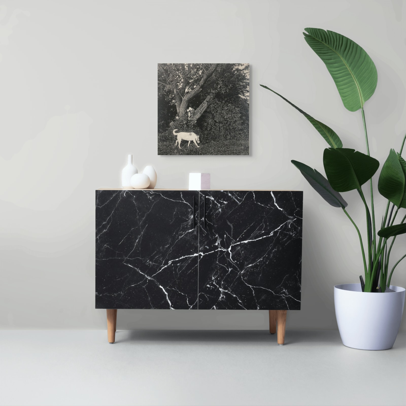 Allan Thomas, Coco, 2025