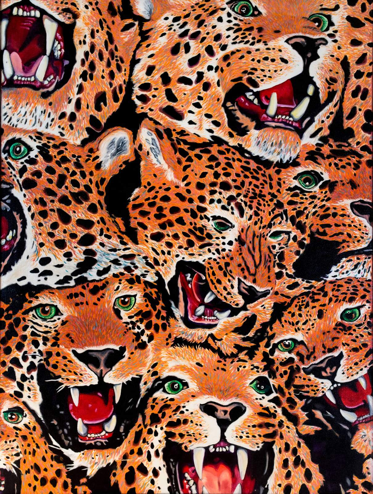 David Thauberger, Leopards / Freeked, 1974