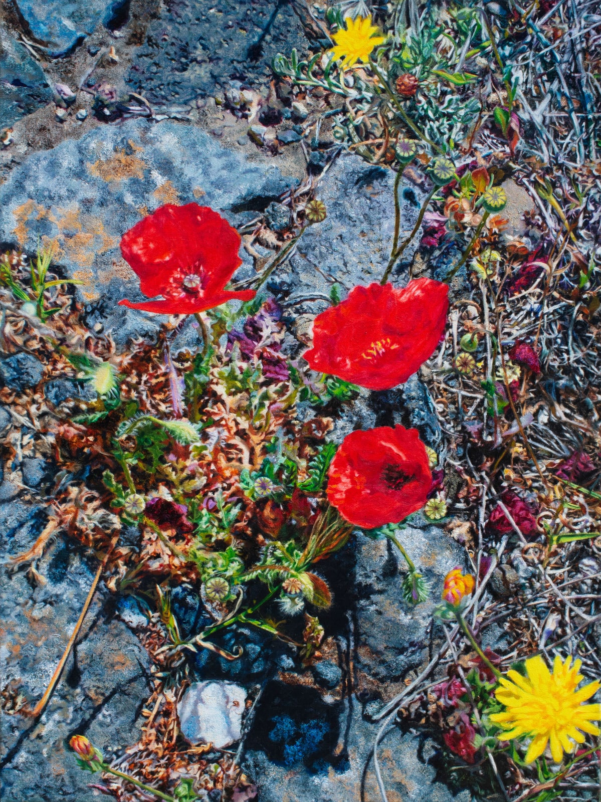 Dulcie Foo Fat, Three Poppies, 2022