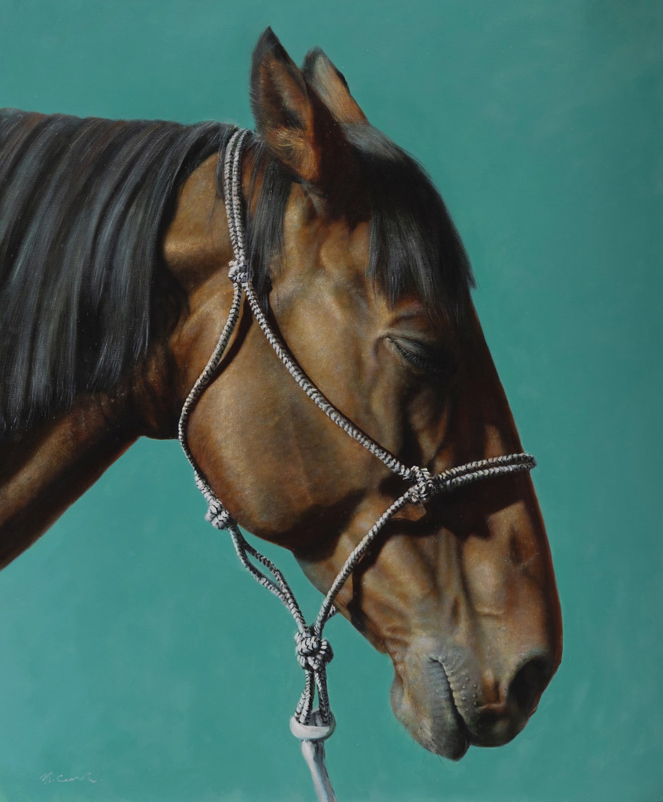 Michael Corner, Horse, Resting, 2026