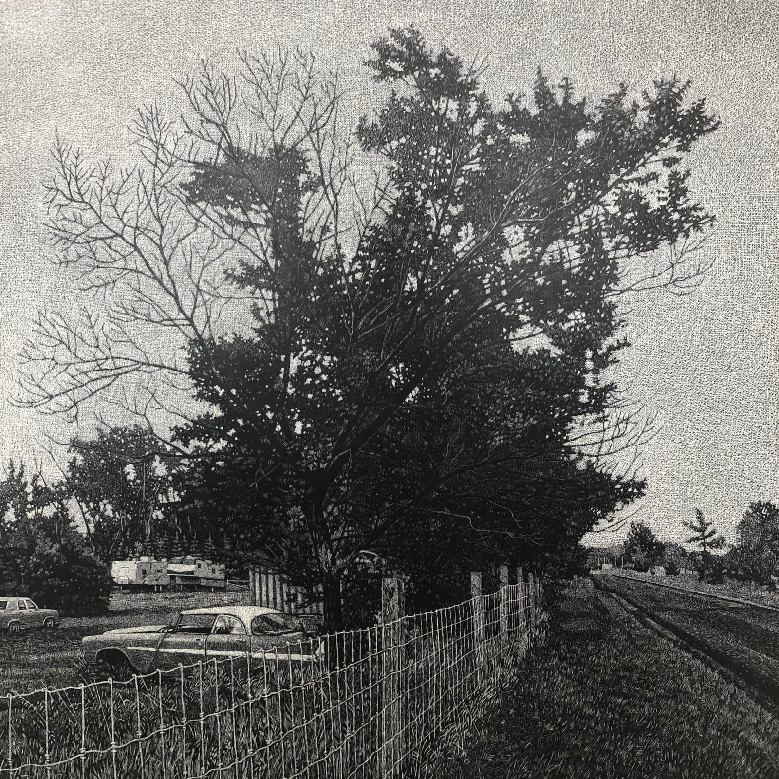 Allan Thomas, Dirt Road, 2024