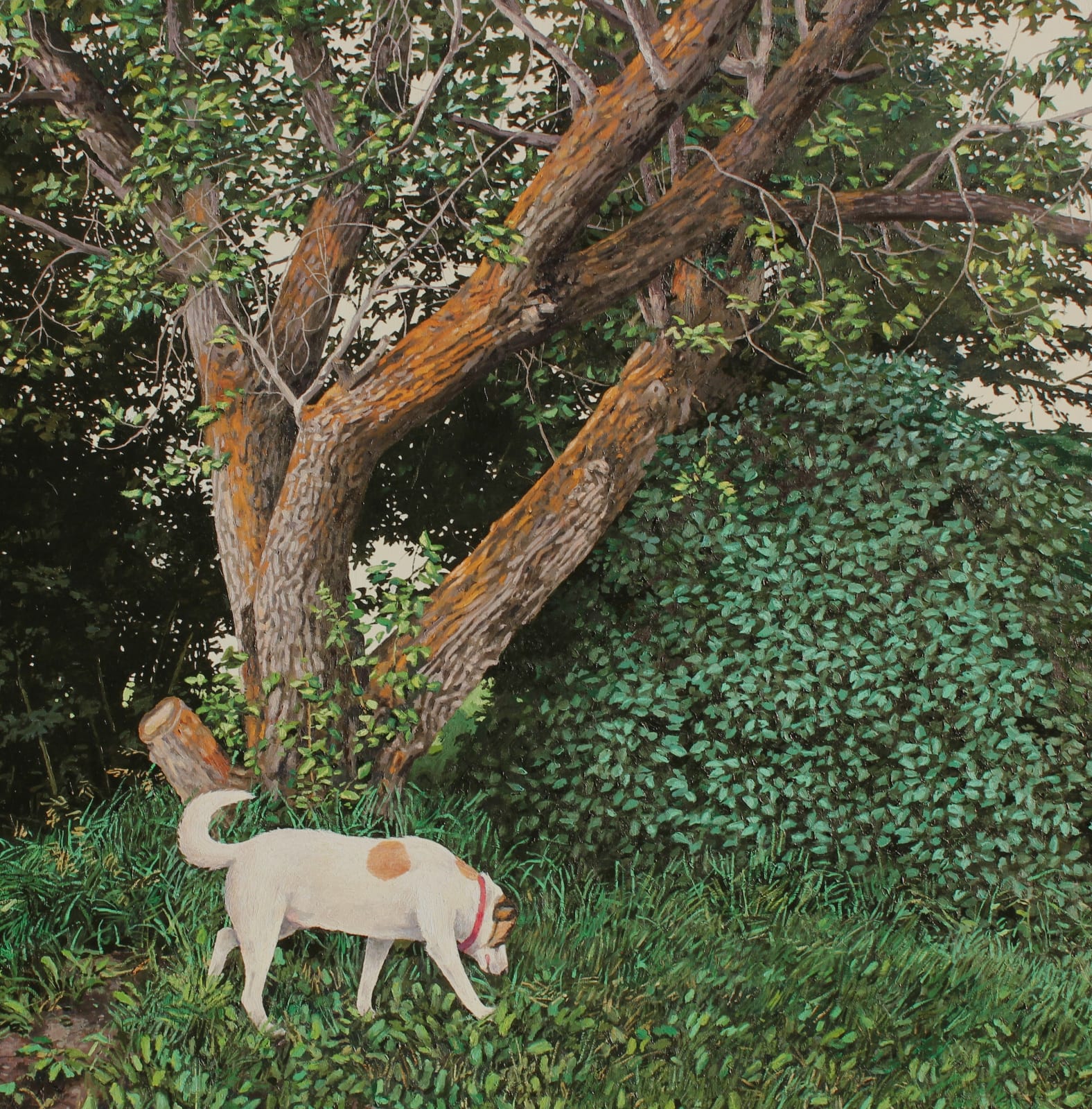 Allan Thomas, Coco, 2025