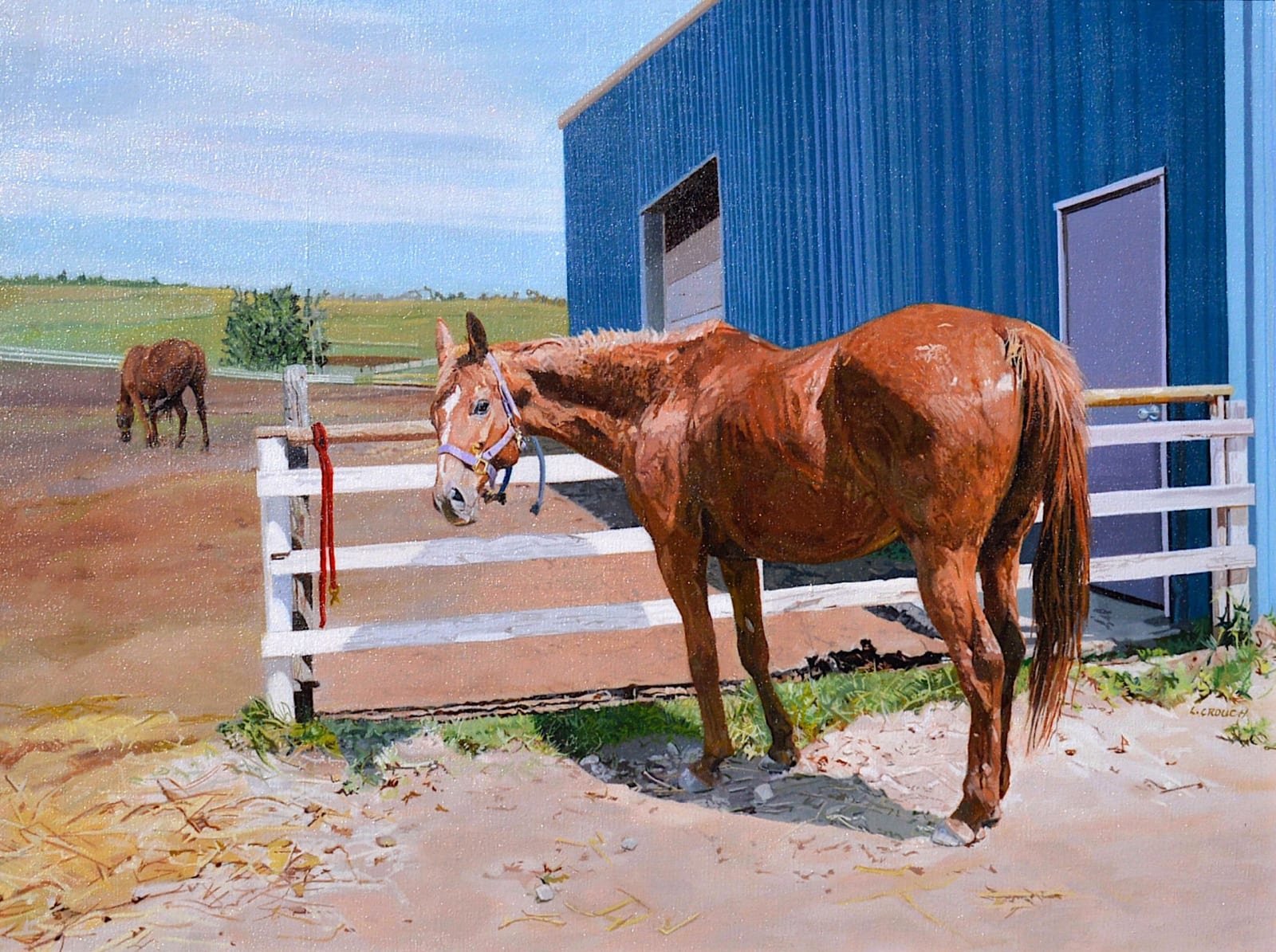 Lynne Crouch, Maggie