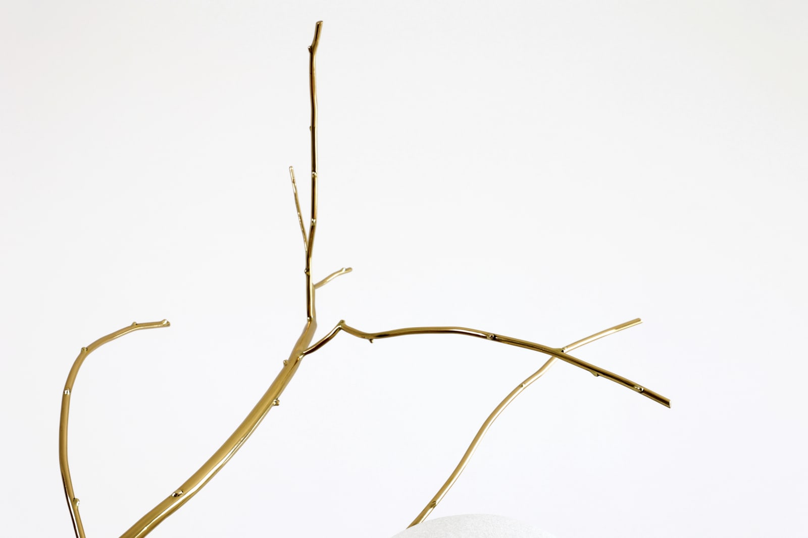 Fernando Mastrangelo, September Lamp