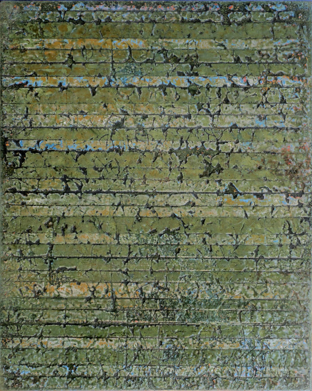 Terry Craig, Rainforest, n.d.