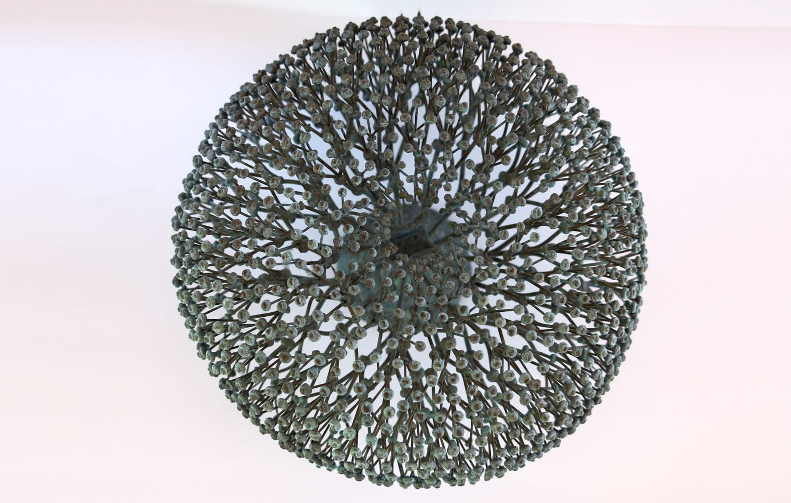 Harry Bertoia, Untitled (Bush), c. mid to late 1970's
