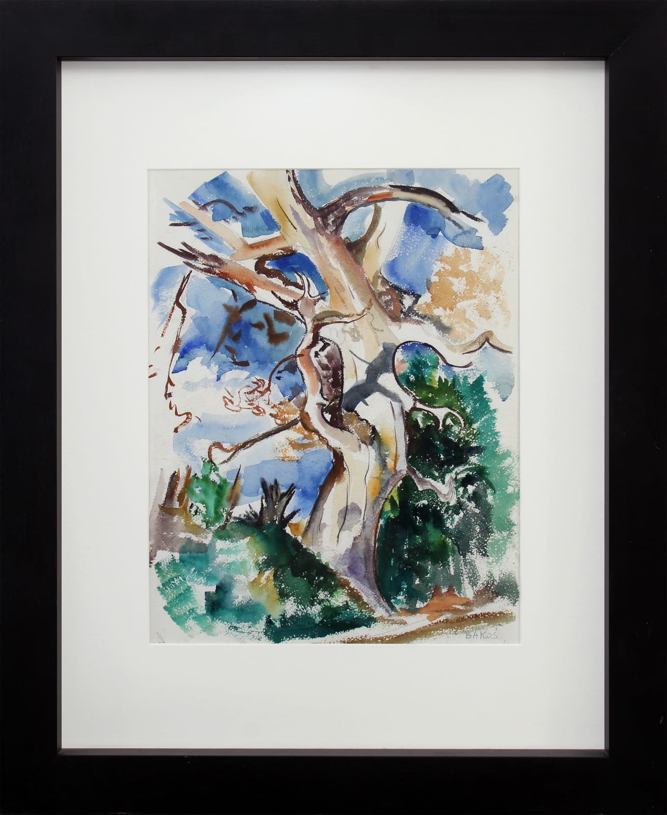 Jozef Bakos, Cottonwoods