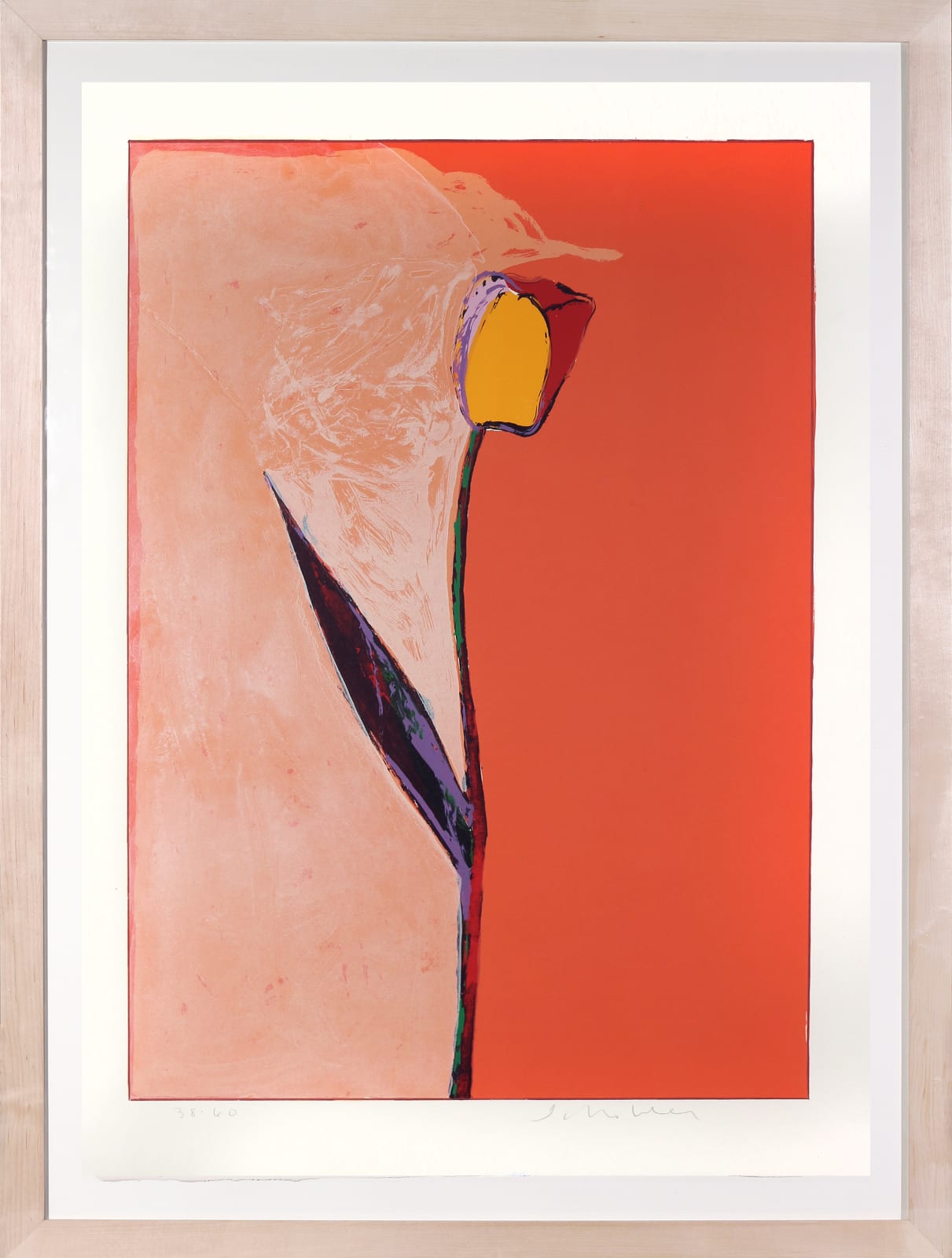 Fritz Scholder, Tulip, n.d.