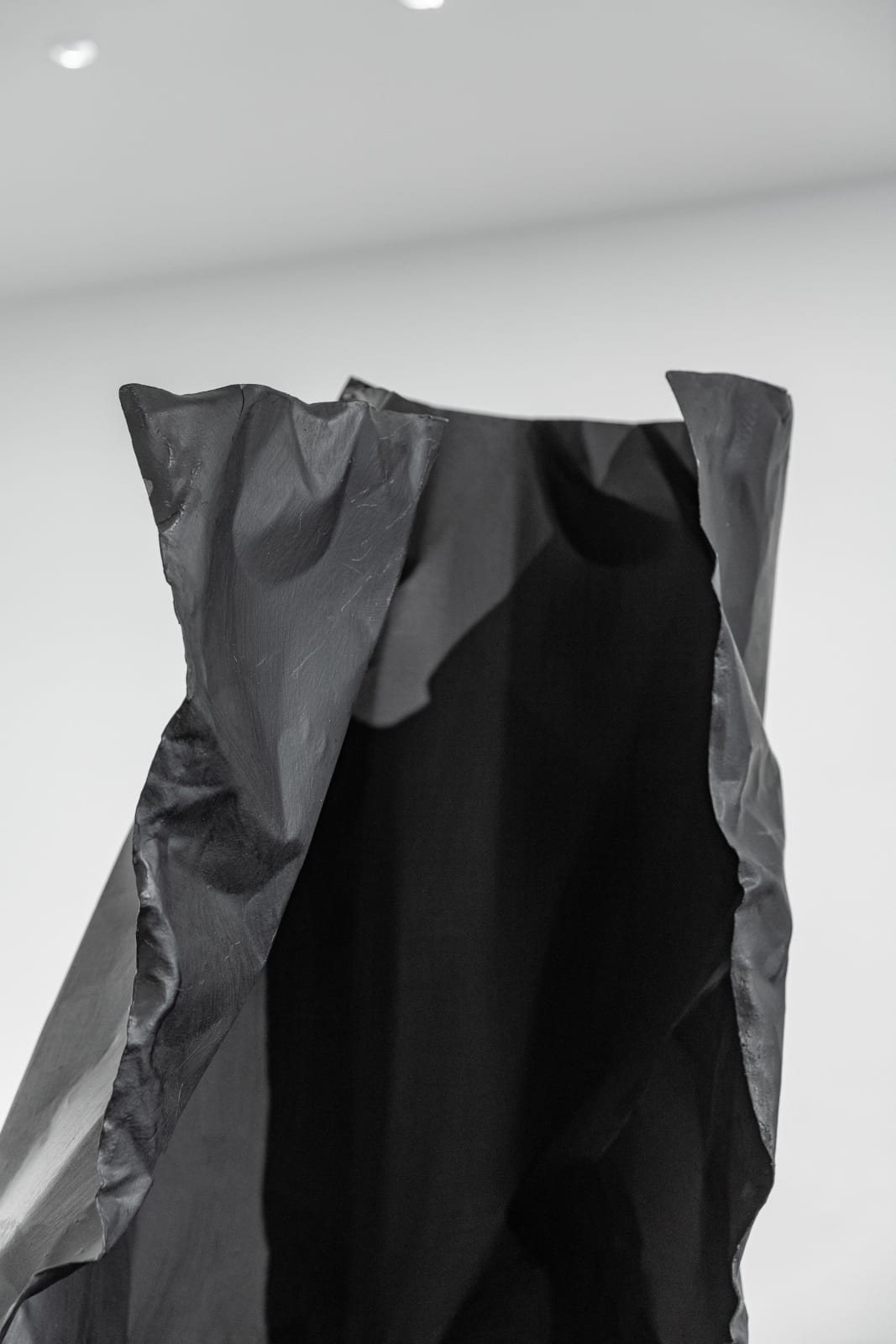 Rosemarie Castoro, Black Flasher B, 1979