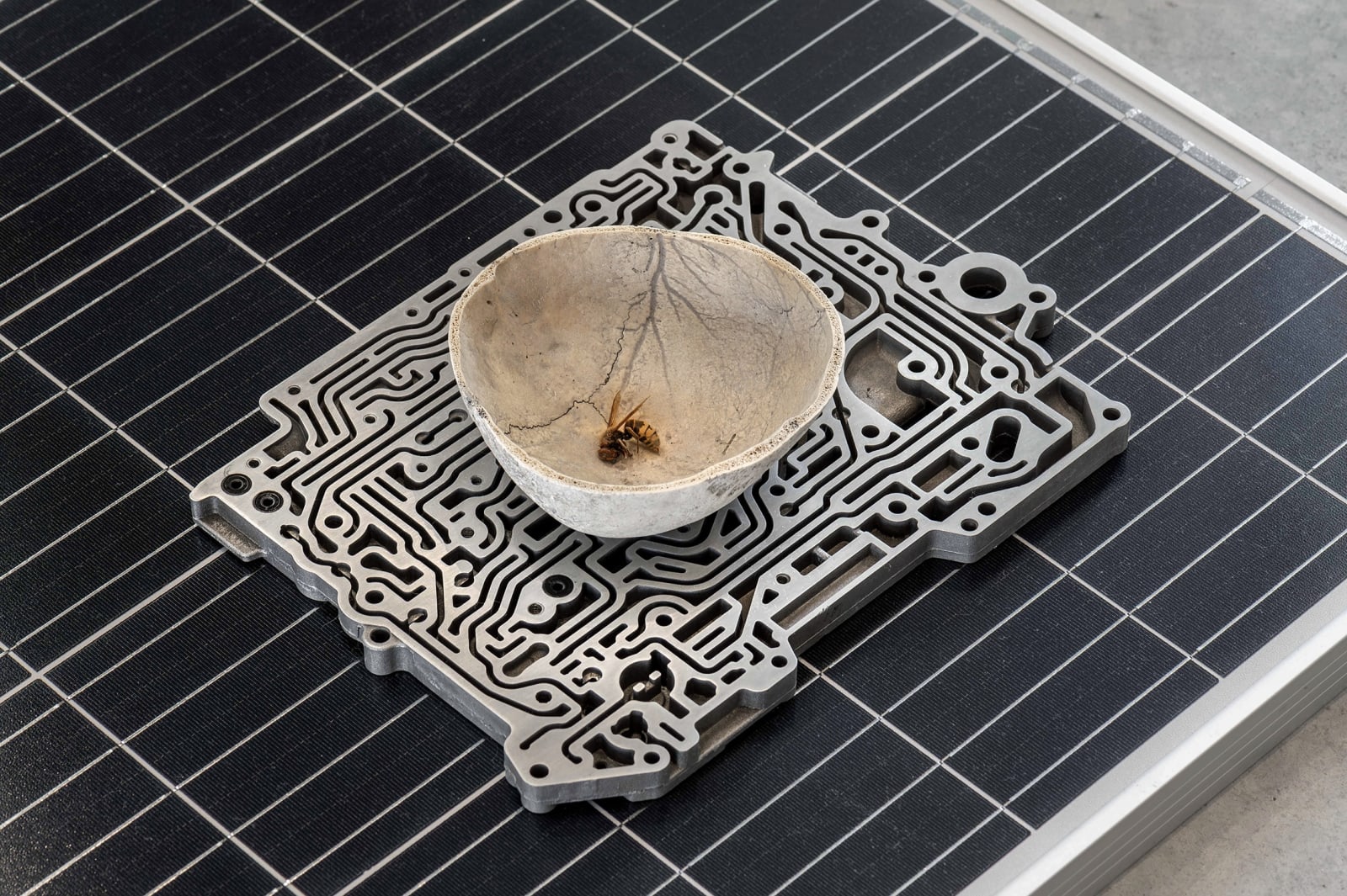 Nicolás Lamas, Nest, 2023