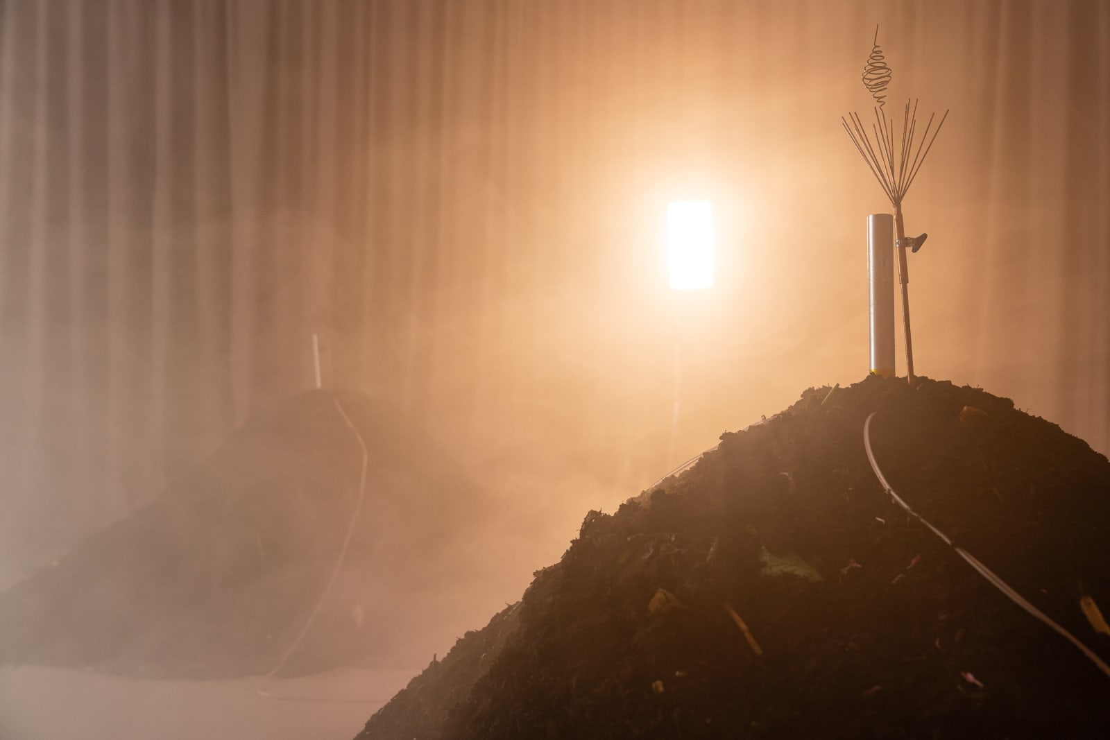 Jenna Sutela, Vermi Cell, 2023