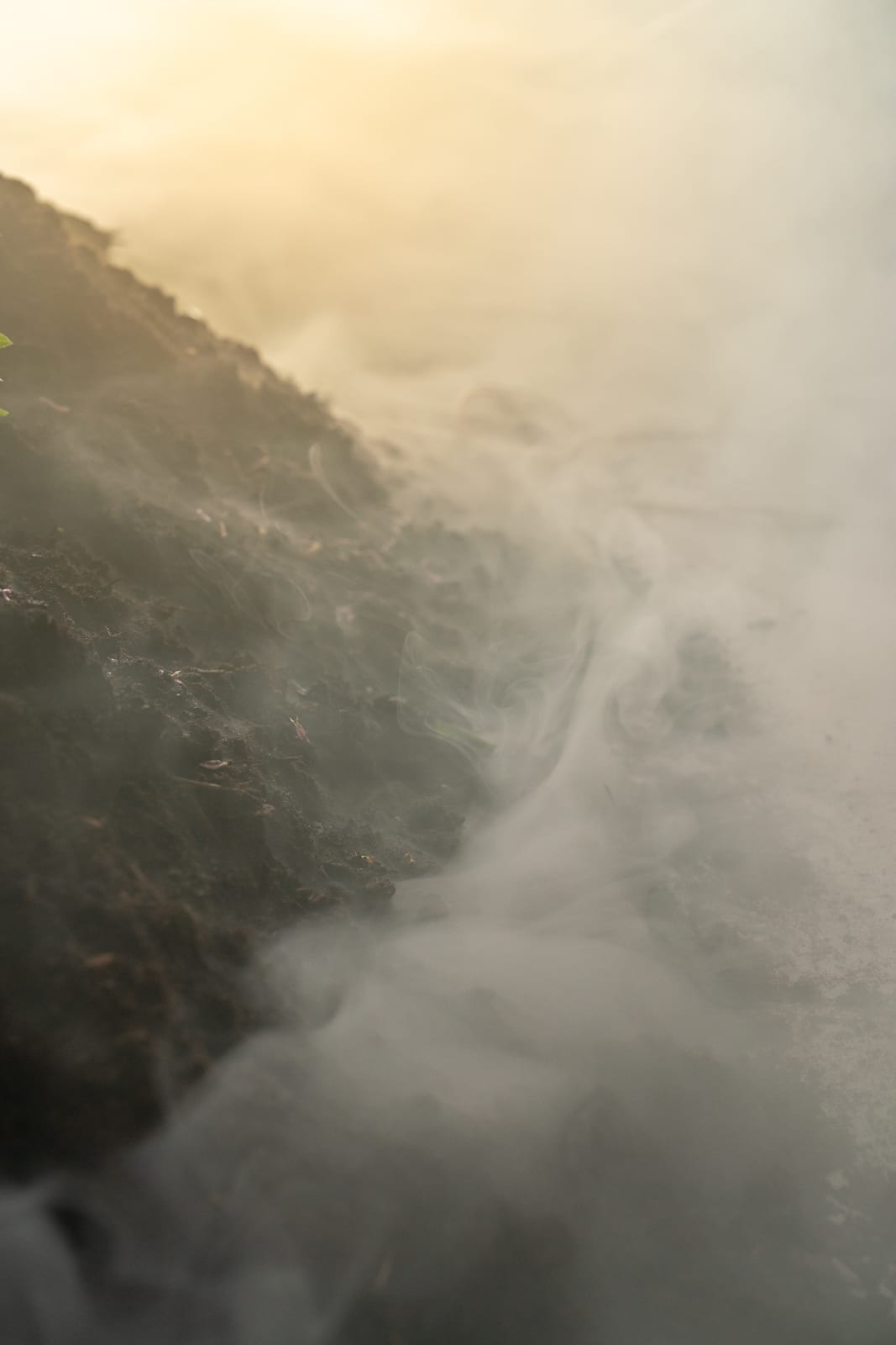 Jenna Sutela, Vermi Cell, 2023