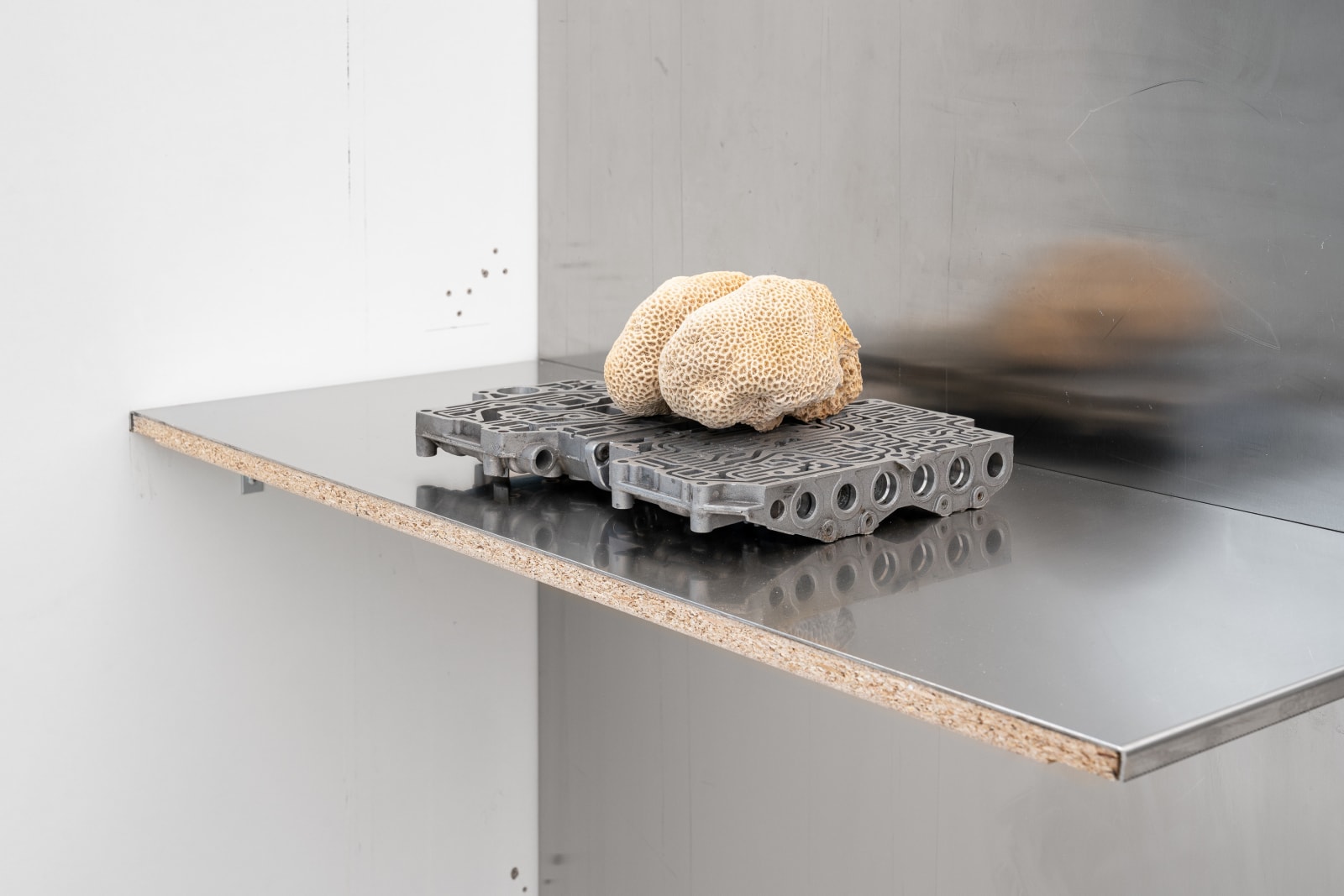 Nicolás Lamas, Neurocoral, 2022