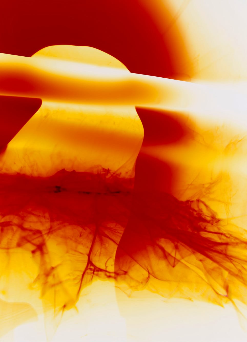 Jenna Sutela, No central creatures are fixed, 2020