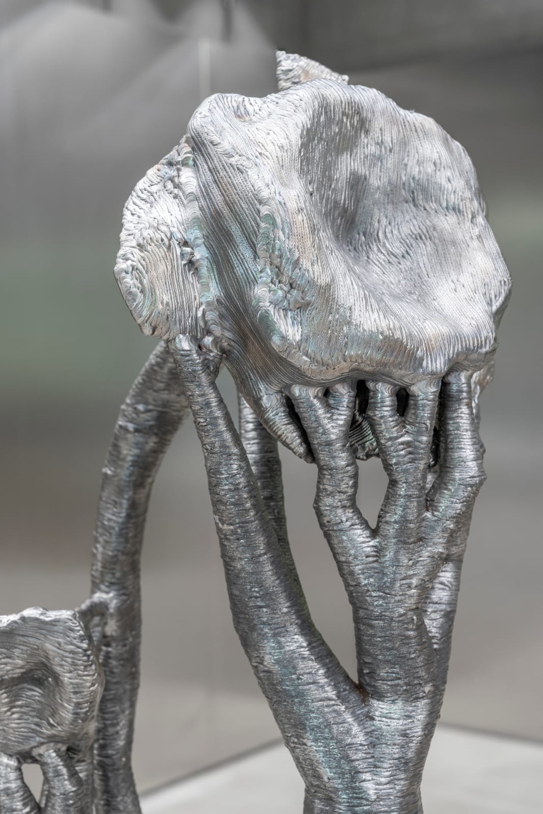 Troika, Ultraflora, 2025