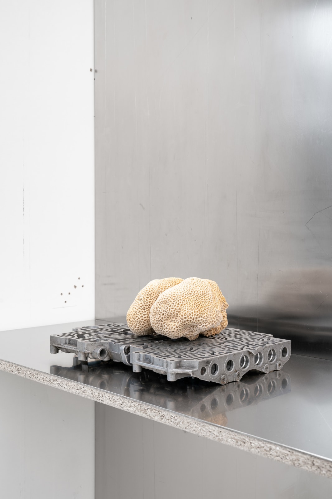 Nicolás Lamas, Neurocoral, 2022