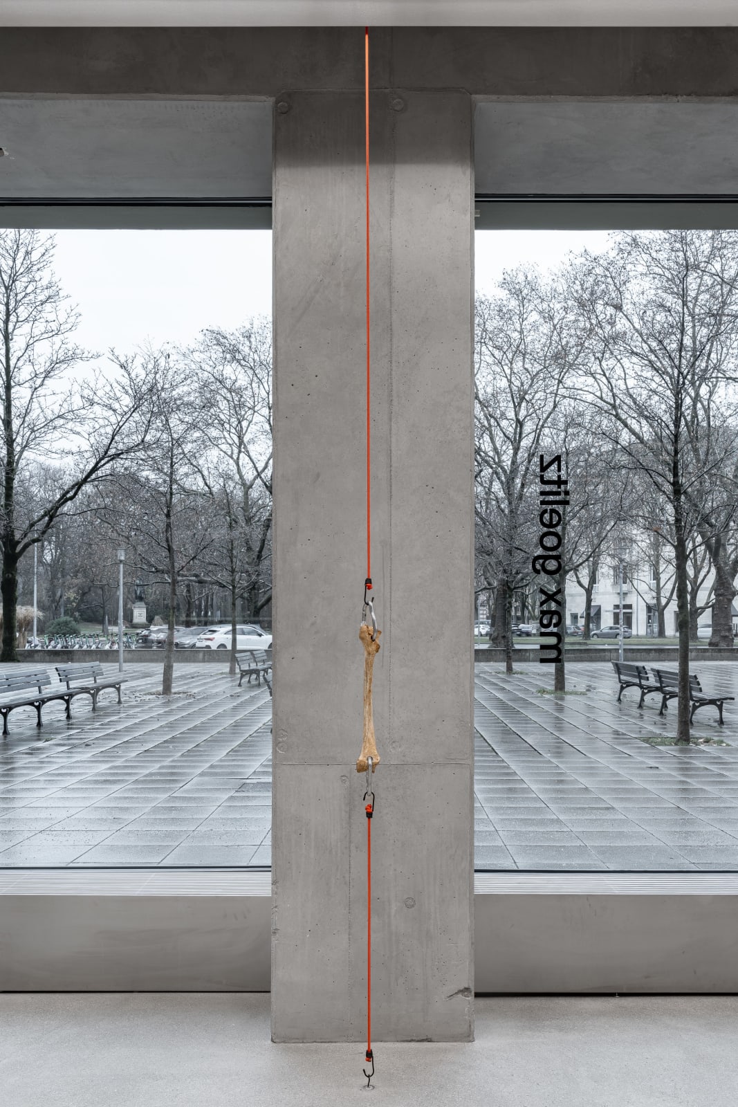 Nicolás Lamas, Tendon, 2022