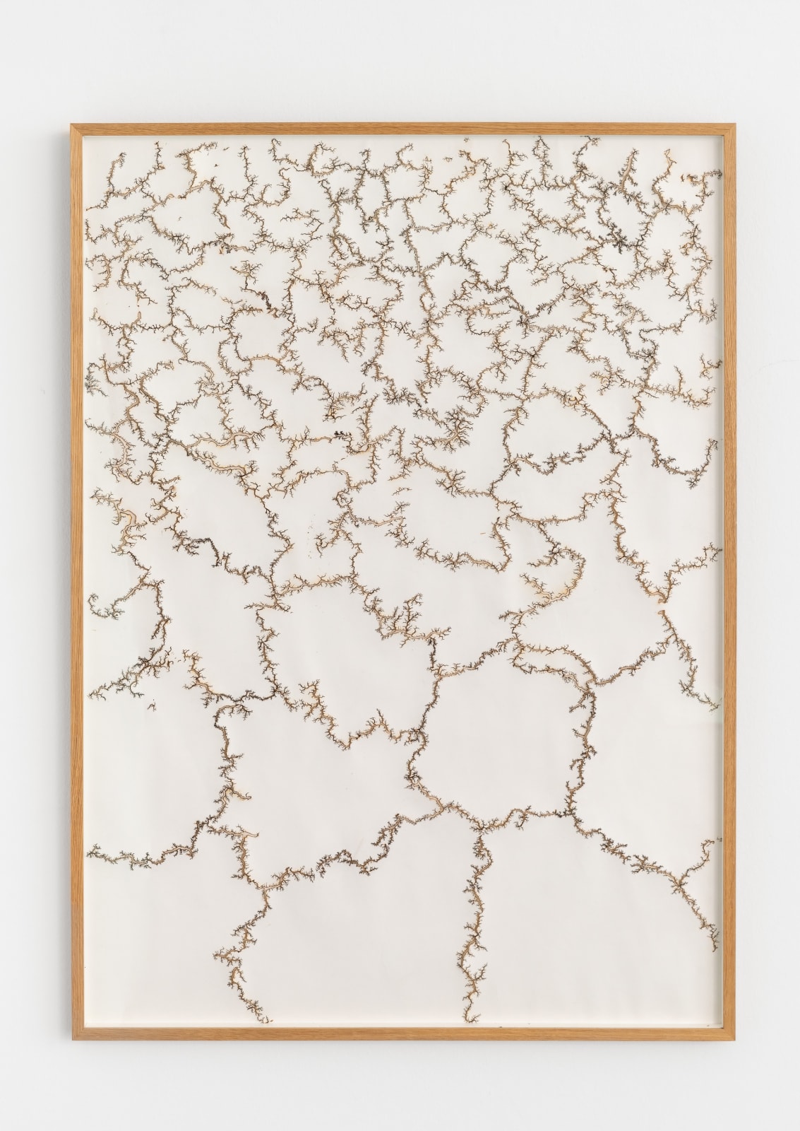 Troika, Cartography of Control, 2015