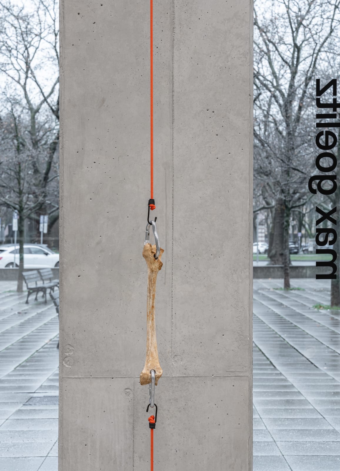 Nicolás Lamas, Tendon, 2022