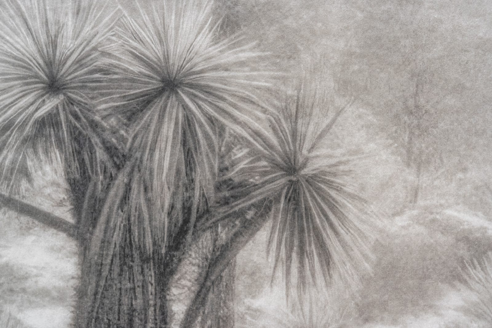 Troika, Out of Place, Out of Time (White South), 2025