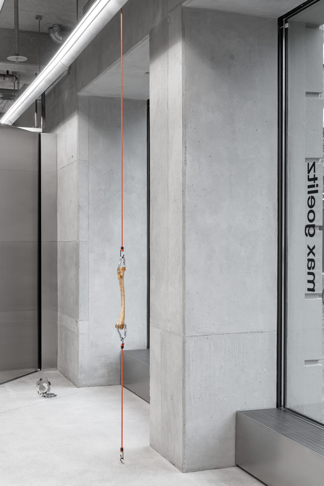 Nicolás Lamas, Tendon, 2022