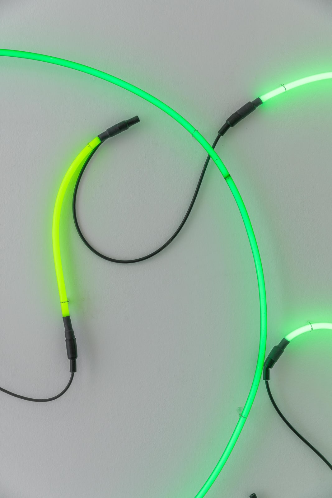 Keith Sonnier, Palm Blatt, 2000