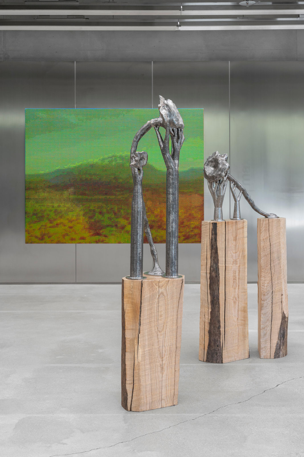 Troika, Ultraflora, 2025