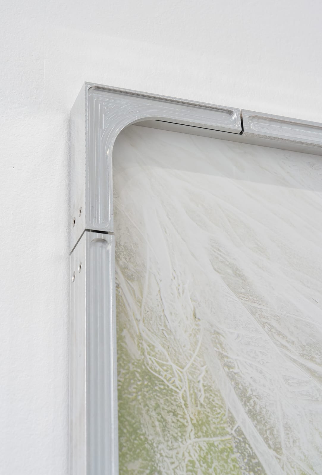 Julius von Bismarck, We Were All Naked (Elephant Ear), 2023