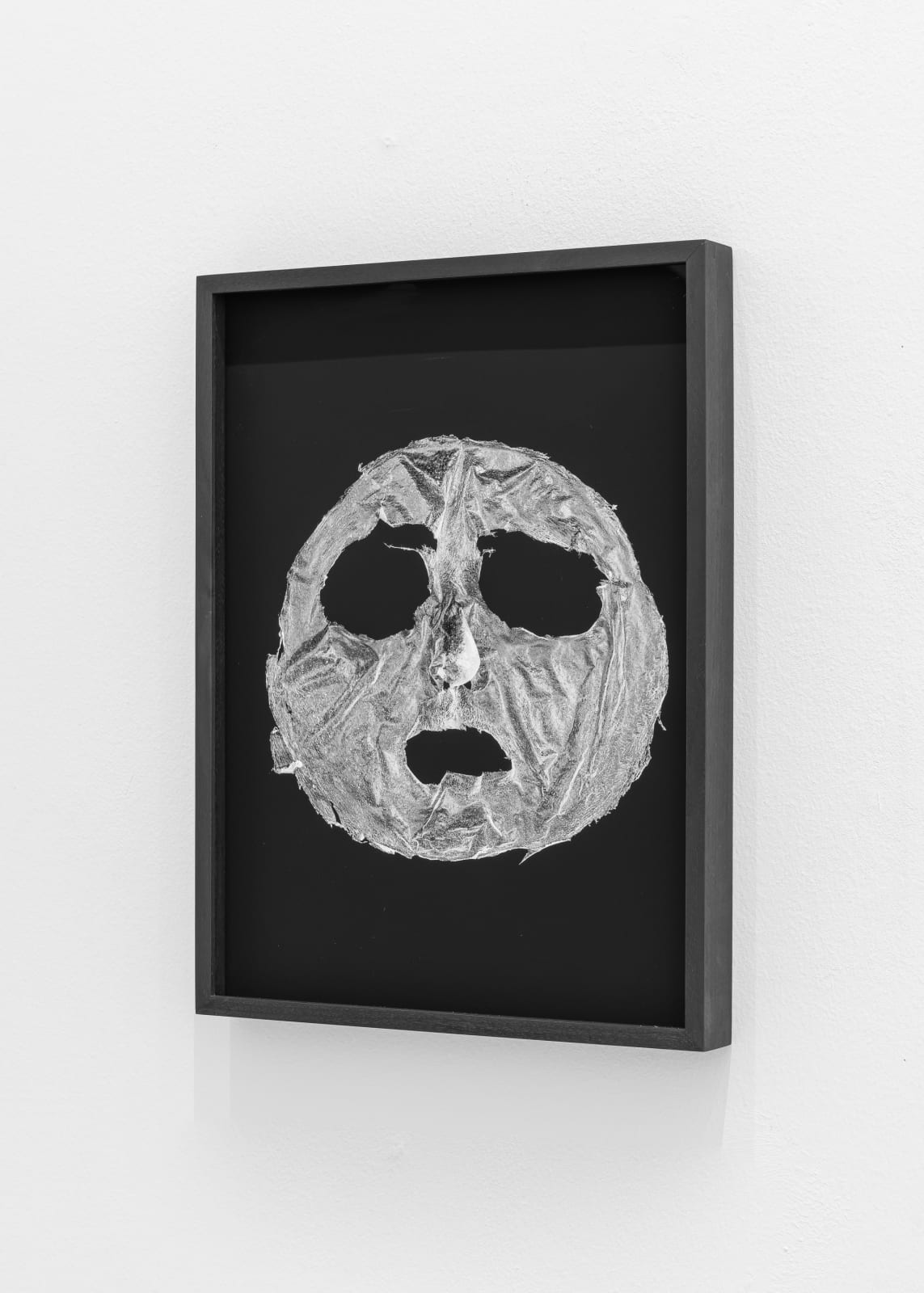 Lukas Heerich, Untitled (Peel), 2024