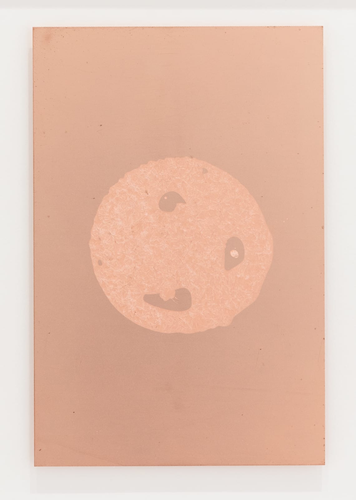 Haroon Mirza, Sugar Face, 2017