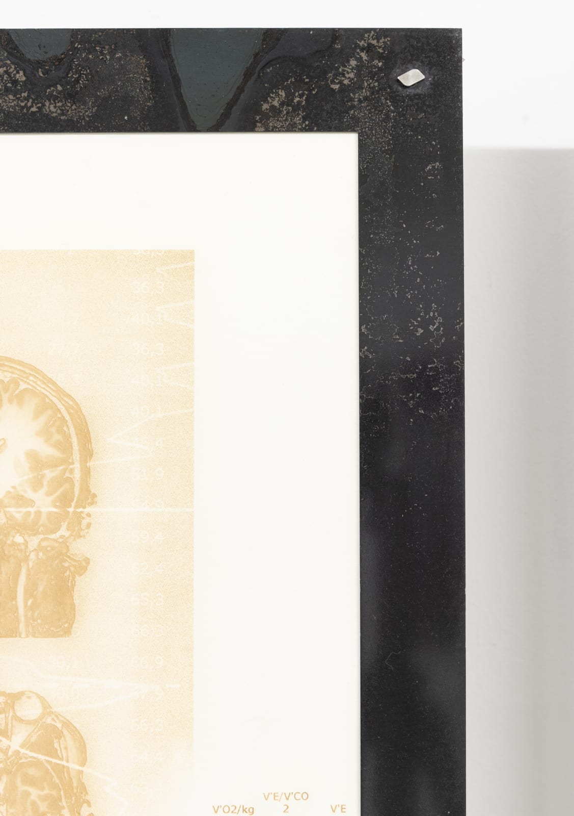 Justin Urbach, FreezeFrame I, 2024