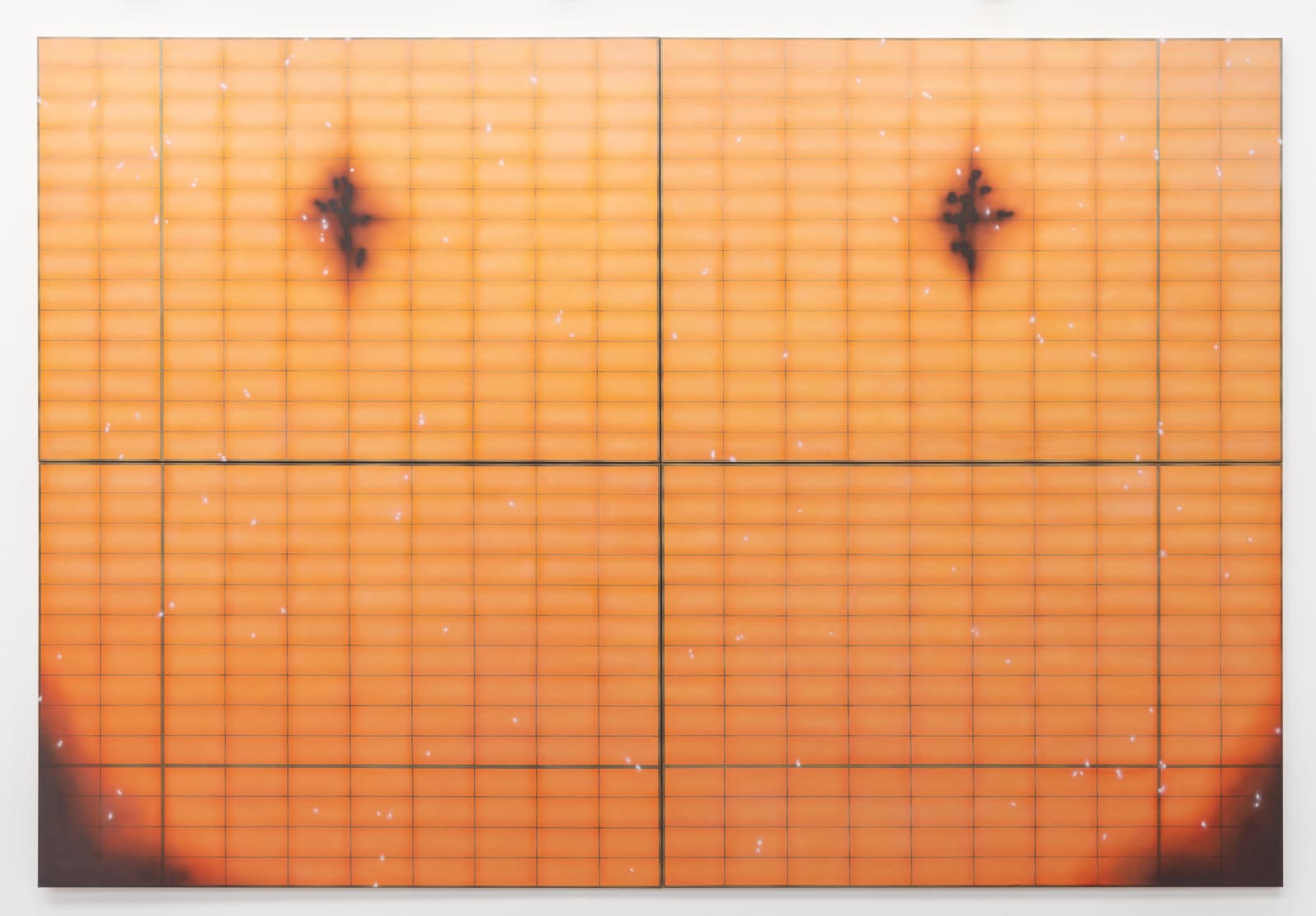 Natacha Donzé, Gathering into order, 2020