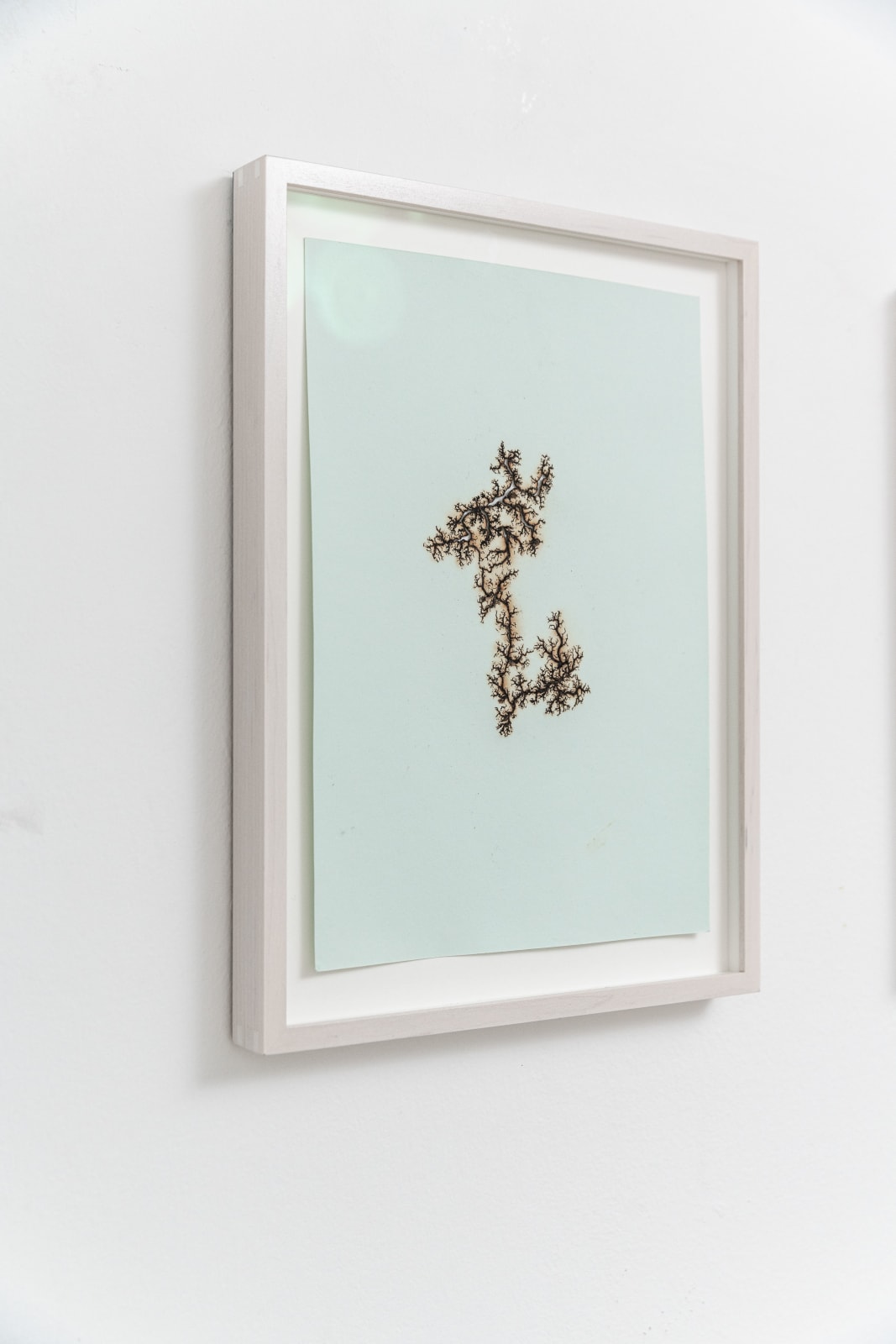 Troika, Fahrenheit 251, 2014