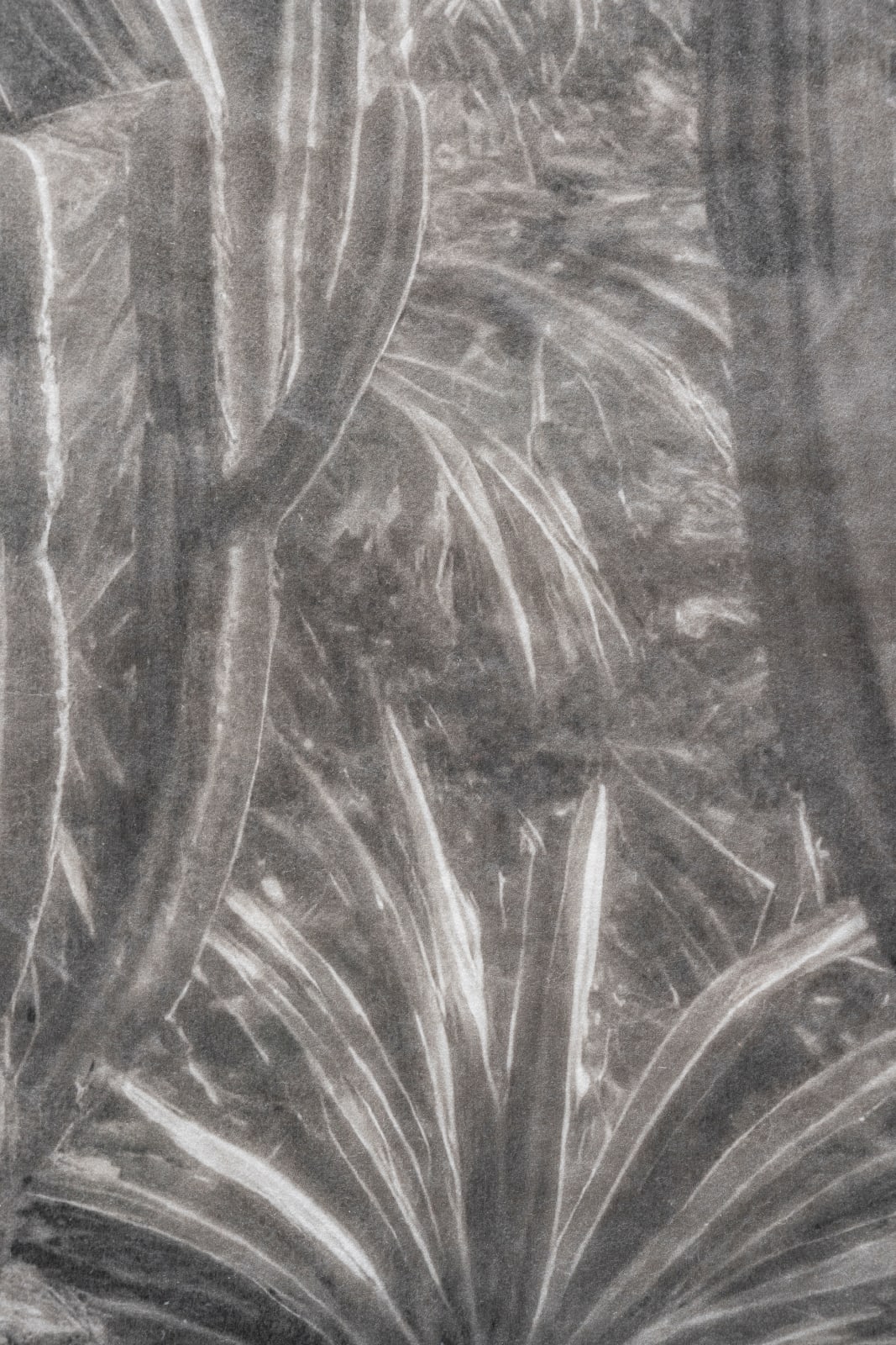 Troika, Out of Place, Out of Time (Lostmans River), 2025