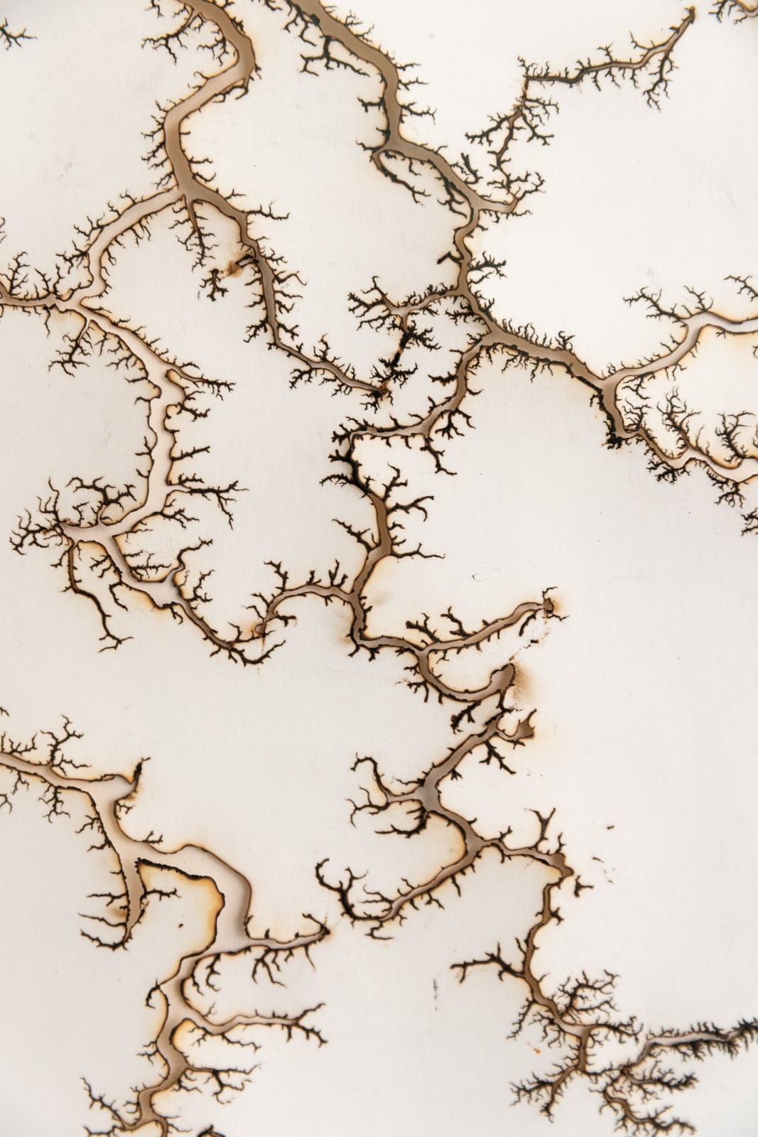 Troika, Cartography of Control, 2015