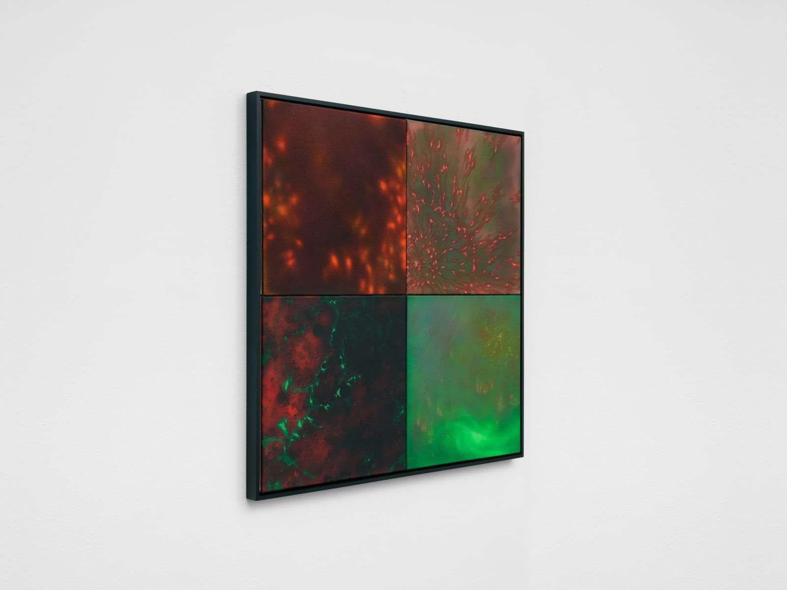 Natacha Donzé, Repository, preserved remains, 2023