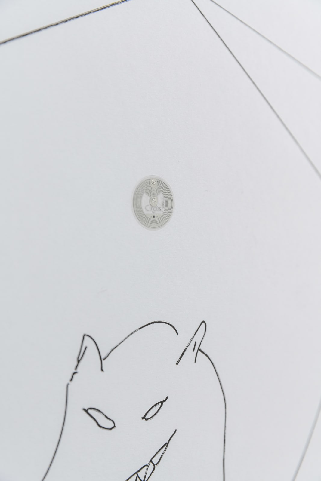 Niko Abramidis &NE, CTO CFO COO, 2020