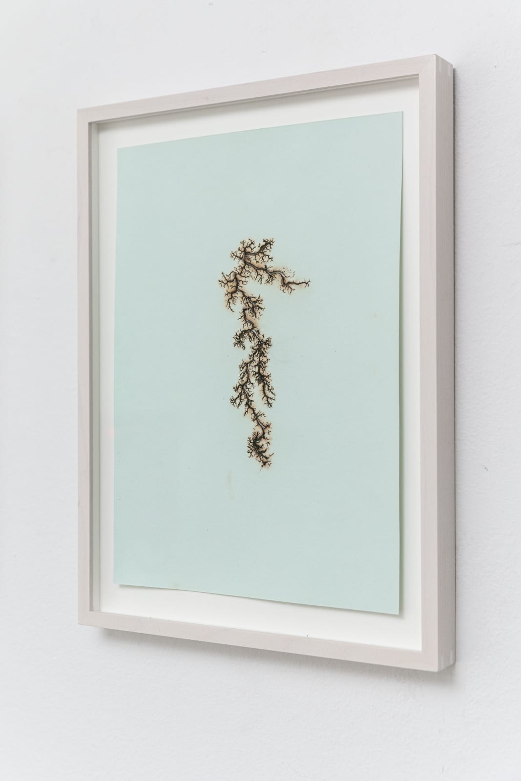 Troika, Fahrenheit 251, 2014