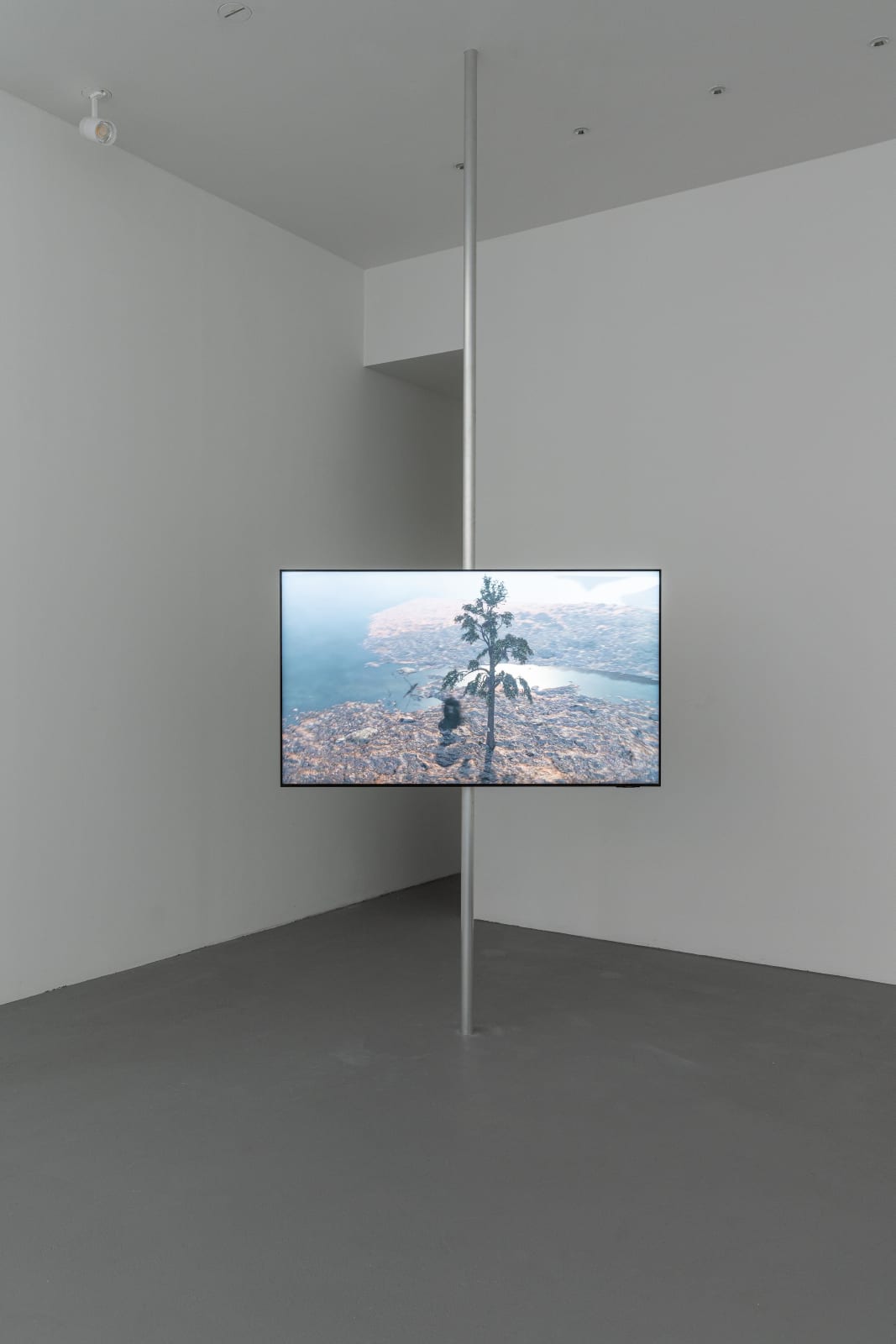 Troika, Terminal Beach, 2020