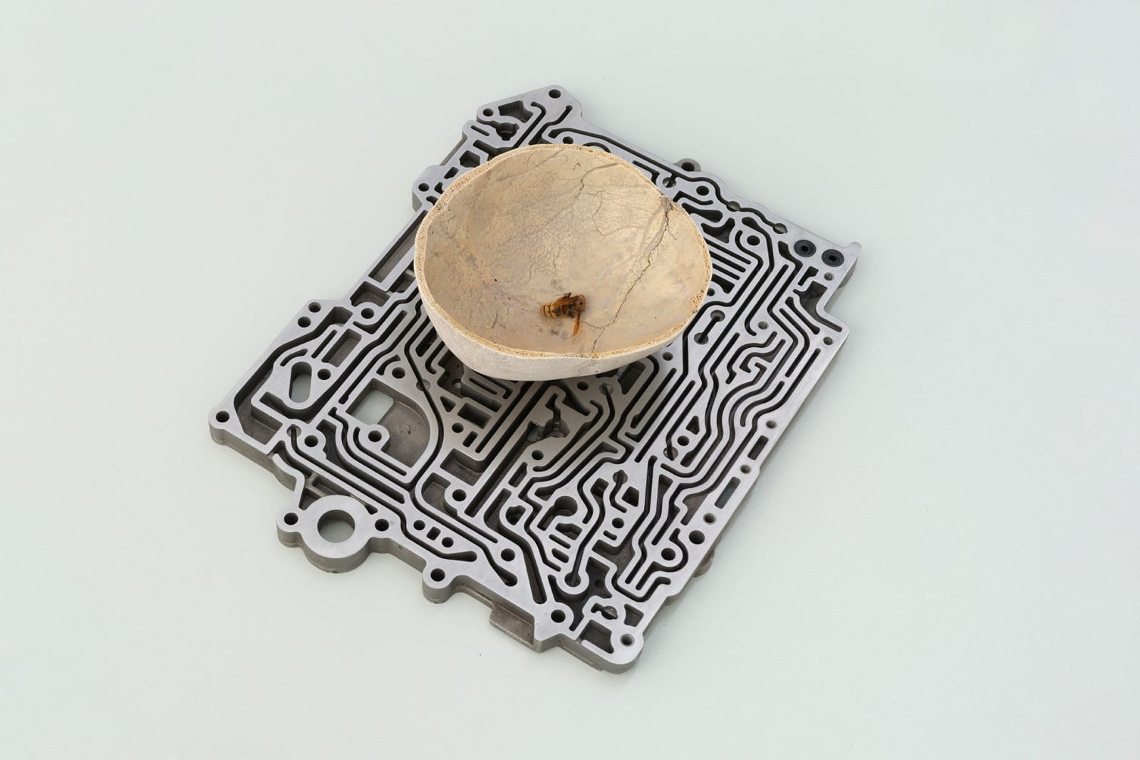 Nicolás Lamas, Nest, 2023