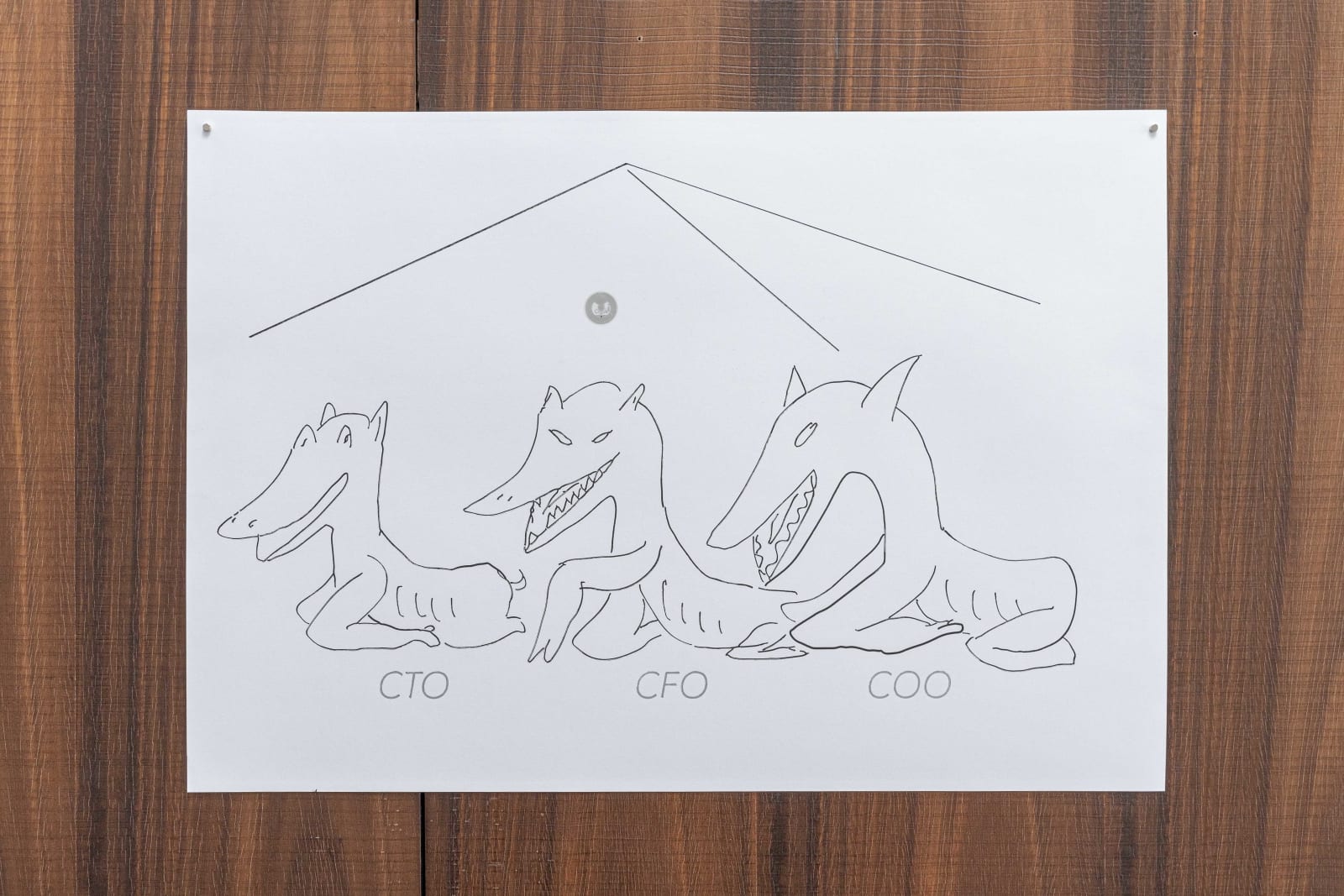 Niko Abramidis &NE, CTO CFO COO, 2020