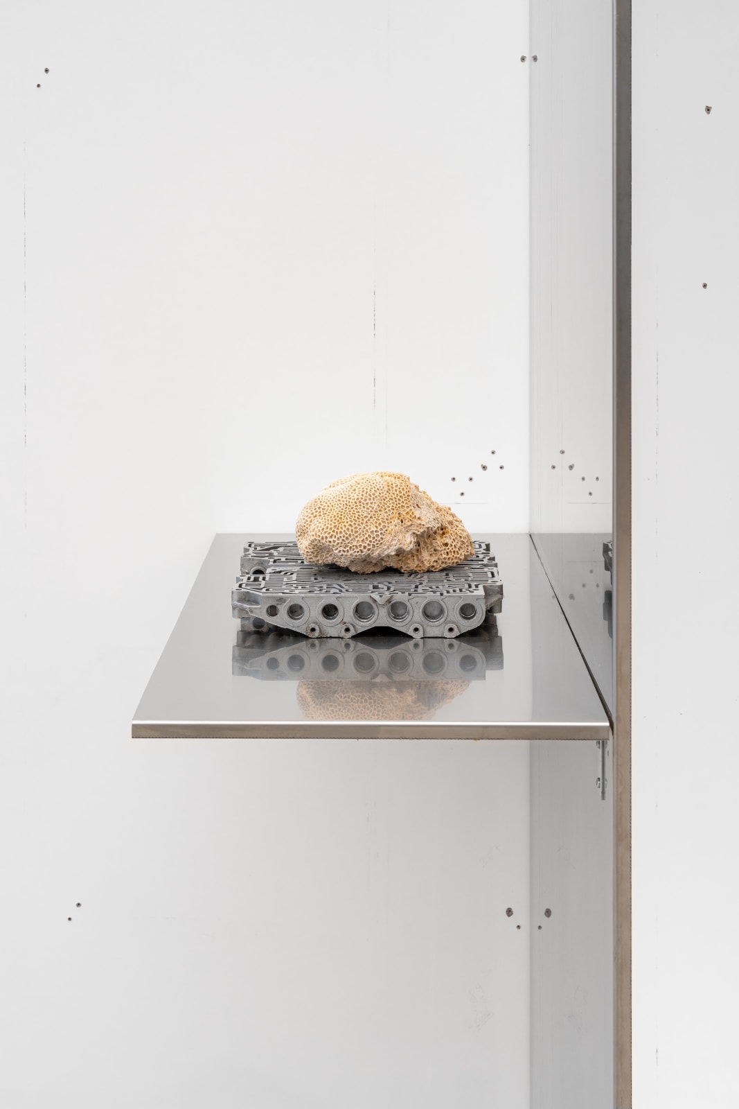 Nicolás Lamas, Neurocoral, 2022