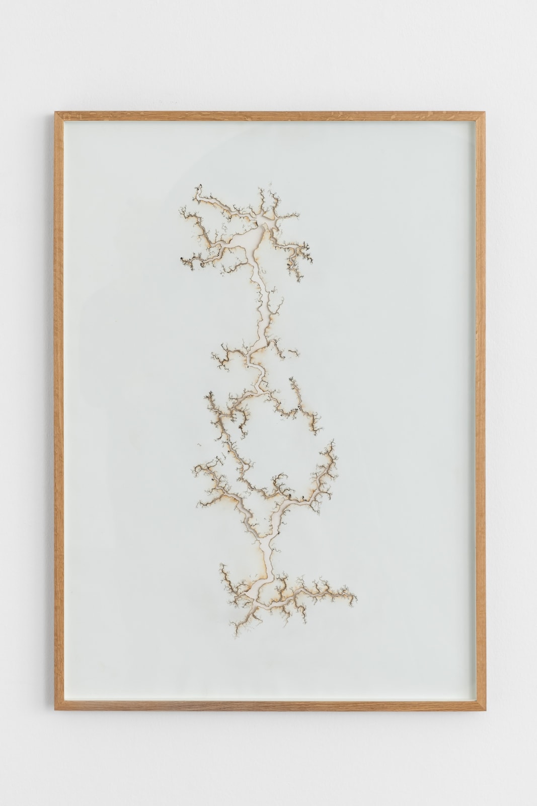 Troika, Light Drawing, 2014